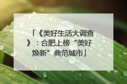 《美好生活大调查》：合肥上榜“美好焕新”典范城市