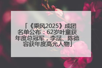 《乘风2025》成团名单公布：62岁叶童获年度总冠军，李晟、陈德容获年度高光人物