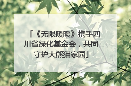 《无限暖暖》携手四川省绿化基金会，共同守护大熊猫家园