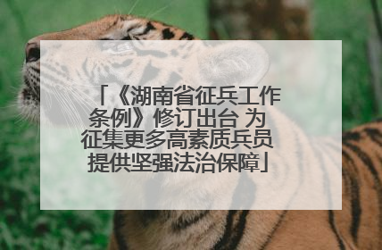 《湖南省征兵工作条例》修订出台 为征集更多高素质兵员提供坚强法治保障