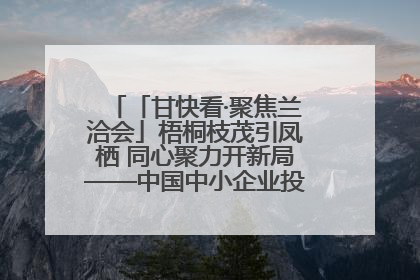 「甘快看·聚焦兰洽会」梧桐枝茂引凤栖 同心聚力开新局——中国中小企业投资洽谈会侧记