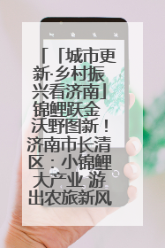 「城市更新·乡村振兴看济南」锦鲤跃金 沃野图新！济南市长清区：小锦鲤大产业 游出农旅新风景