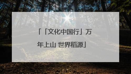 「文化中国行」万年上山 世界稻源