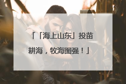 「海上山东」投苗耕海，牧海图强！