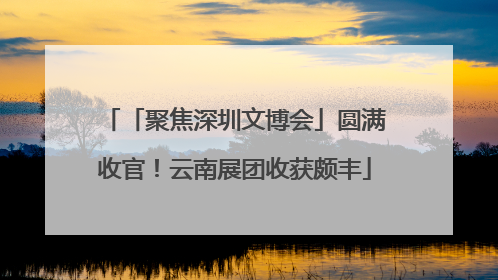 「聚焦深圳文博会」圆满收官！云南展团收获颇丰
