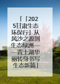 「2025甘肃生态环保行」从风沙之源到生态绿洲——青土湖华丽转身书写生态新篇
