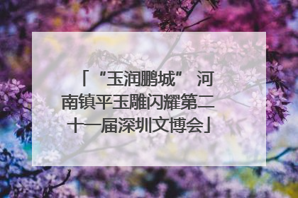 “玉润鹏城” 河南镇平玉雕闪耀第二十一届深圳文博会