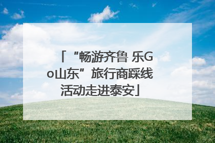 “畅游齐鲁 乐Go山东”旅行商踩线活动走进泰安