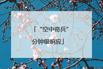 “空中奇兵”分钟级响应
