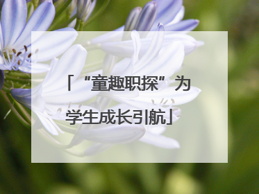 “童趣职探”为学生成长引航
