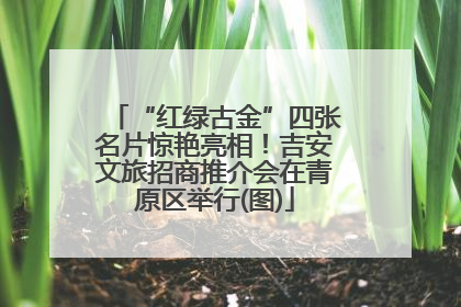 “红绿古金”四张名片惊艳亮相！吉安文旅招商推介会在青原区举行(图)