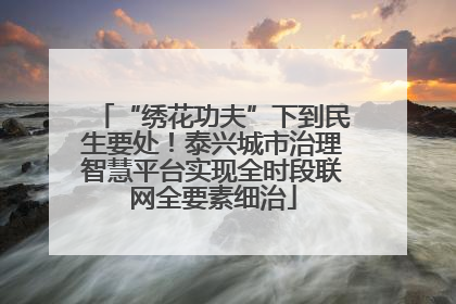 “绣花功夫”下到民生要处！泰兴城市治理智慧平台实现全时段联网全要素细治