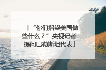 “你们指望美国做些什么？”央视记者提问巴勒斯坦代表