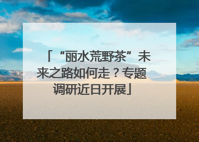 “丽水荒野茶”未来之路如何走？专题调研近日开展