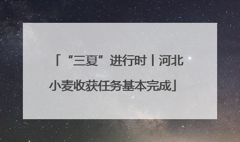 “三夏”进行时丨河北小麦收获任务基本完成