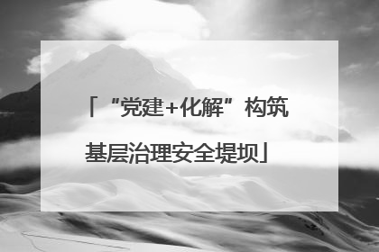 “党建+化解”构筑基层治理安全堤坝