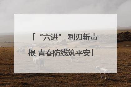 “六进” 利刃斩毒根 青春防线筑平安