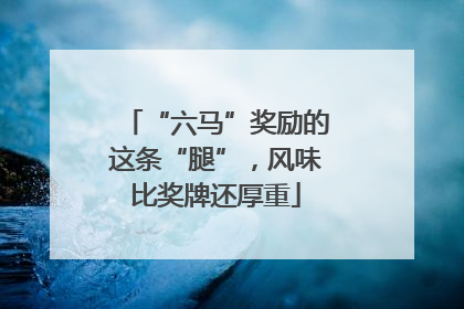 “六马”奖励的这条“腿”，风味比奖牌还厚重
