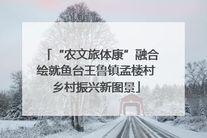 “农文旅体康”融合绘就鱼台王鲁镇孟楼村乡村振兴新图景