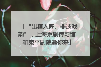 “出箱入匠、非遗戏韵”，上海京剧传习馆和宛平剧院邀你来