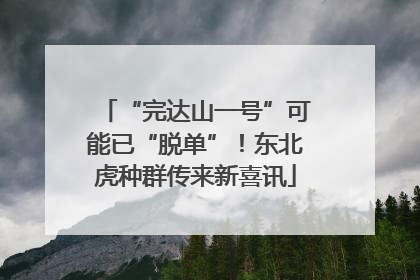“完达山一号”可能已“脱单”！东北虎种群传来新喜讯