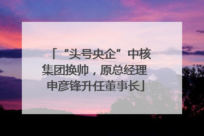 “头号央企”中核集团换帅，原总经理申彦锋升任董事长