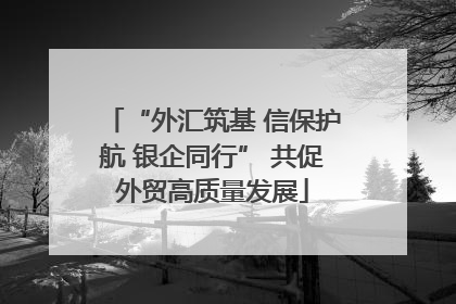 “外汇筑基 信保护航 银企同行” 共促外贸高质量发展