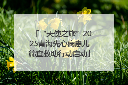 “天使之旅”2025青海先心病患儿筛查救助行动启动