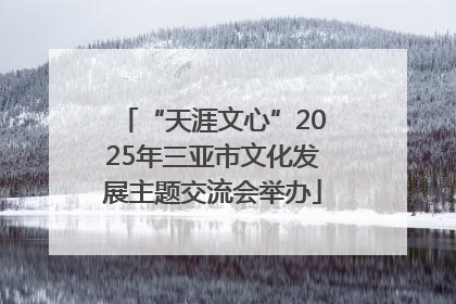 “天涯文心”2025年三亚市文化发展主题交流会举办