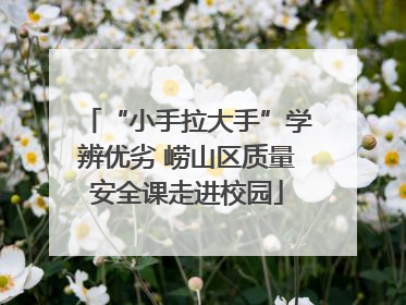 “小手拉大手”学辨优劣 崂山区质量安全课走进校园