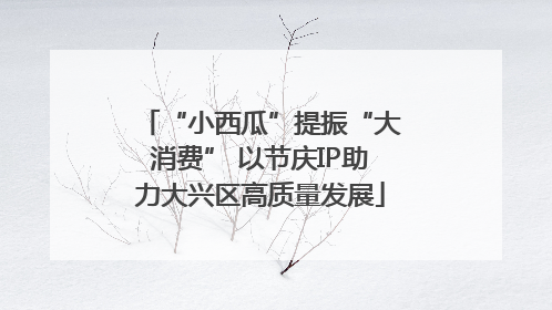 “小西瓜”提振“大消费” 以节庆IP助力大兴区高质量发展