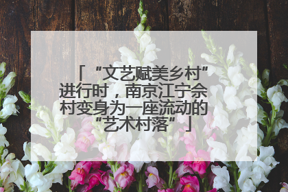 “文艺赋美乡村”进行时，南京江宁佘村变身为一座流动的“艺术村落”
