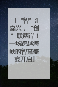 “智”汇嘉兴，“创”联两岸！一场跨越海峡的智慧盛宴开启