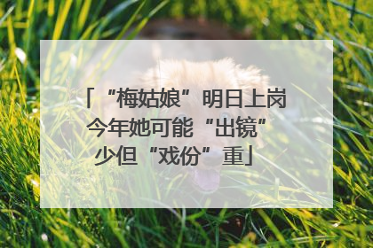 “梅姑娘”明日上岗 今年她可能“出镜”少但“戏份”重