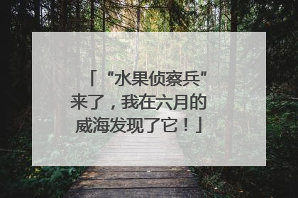 “水果侦察兵”来了，我在六月的威海发现了它！