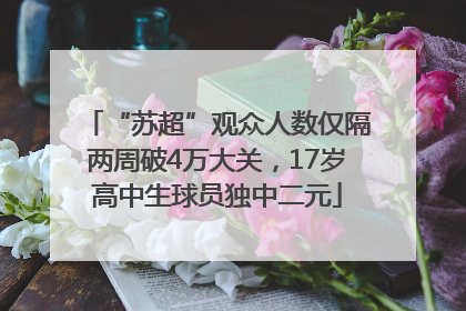 “苏超”观众人数仅隔两周破4万大关，17岁高中生球员独中二元