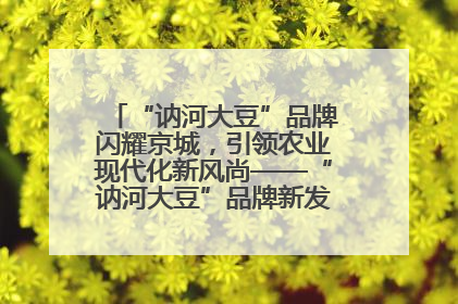 “讷河大豆”品牌闪耀京城，引领农业现代化新风尚——“讷河大豆”品牌新发地推介会圆满落幕