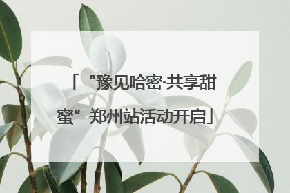 “豫见哈密·共享甜蜜”郑州站活动开启