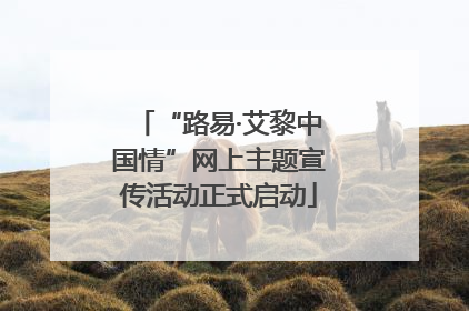 “路易·艾黎中国情”网上主题宣传活动正式启动