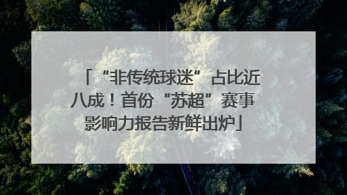 “非传统球迷”占比近八成！首份“苏超”赛事影响力报告新鲜出炉