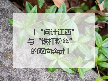 “问计江西”与“铁杆粉丝”的双向奔赴