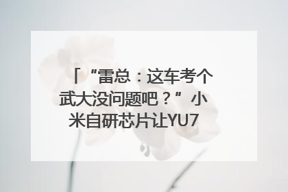 “雷总：这车考个武大没问题吧？”小米自研芯片让YU7会学习｜汽车科技