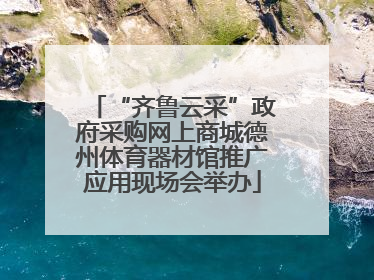 “齐鲁云采”政府采购网上商城德州体育器材馆推广应用现场会举办