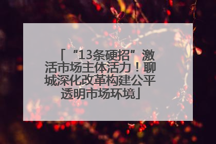 “13条硬招”激活市场主体活力！聊城深化改革构建公平透明市场环境
