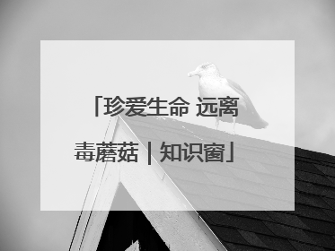 珍爱生命 远离毒蘑菇｜知识窗