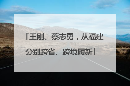 王刚、蔡志勇，从福建分别跨省、跨境履新
