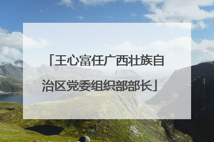 王心富任广西壮族自治区党委组织部部长