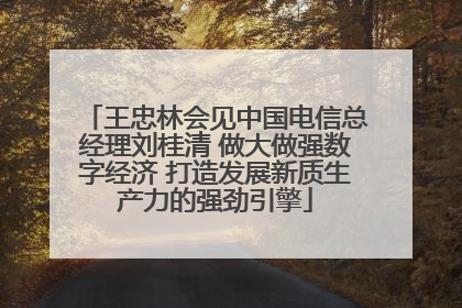 王忠林会见中国电信总经理刘桂清 做大做强数字经济 打造发展新质生产力的强劲引擎