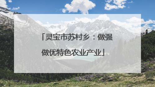 灵宝市苏村乡：做强做优特色农业产业