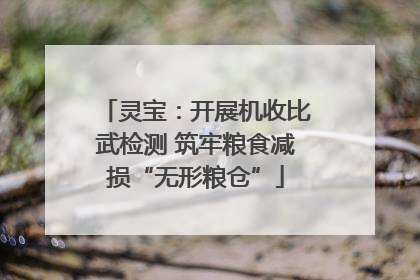灵宝：开展机收比武检测 筑牢粮食减损“无形粮仓”
